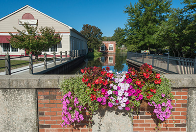 milford flowers picture